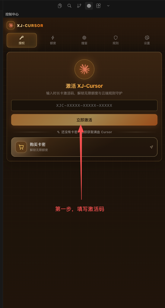 在授权页填入激活码并点击立即激活